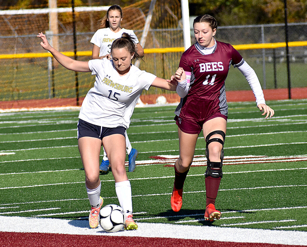 Bears Vs. Bees Part II News, Sports, Jobs Post Journal